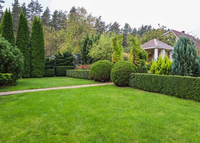 Entretien jardin Basse-Terre