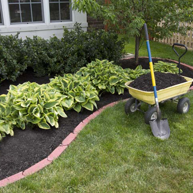 Entretien jardin Gourbeyre