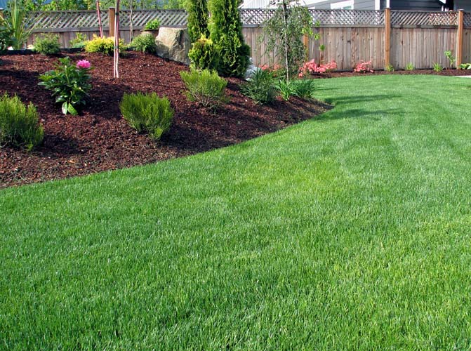 Travaux de jardinage Basse-Terre